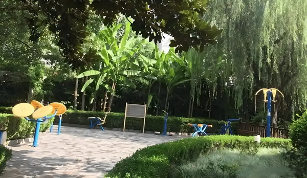 深圳西丽积分入户_第85期黄晓明：凡事淡然一笑是我目前最希望的状态 相关要求为止侵权行即停方立