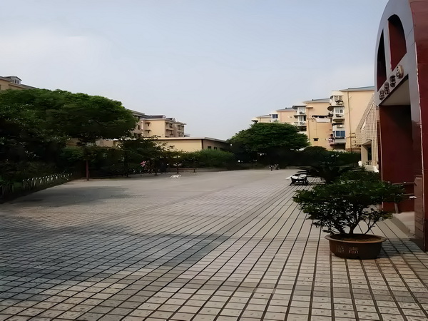 办理深圳积分入户需要多长时间_预售惨淡人气暴跌谁也救不了“狂妄自大”的那英 